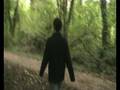 The Woods