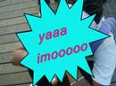 glt\