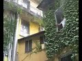 PAPER AIRPLANES-ALIANTE_GLIDER: http://t.co/kPUXEWQg via @YouTube