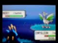 Shiny Skarmory With Poke Radar Shiny Skarmory With Poke Radar