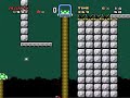 Asshole Mario Stage 7