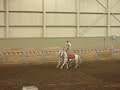 Roman riding at Western Fair (1)