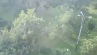 Macetas de Autoriego