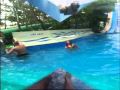 Dam Sen Water Park , Sigon, Veitnam