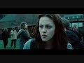 Search Video
