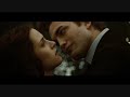 Search Video