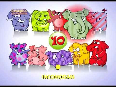 ELEFANTE
