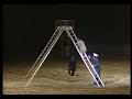 1984 Royal Tournament - RAF Police Dog Demonstration Team