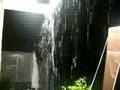 Rain and Storm