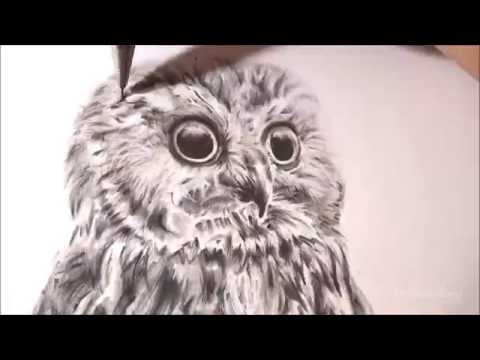 how to draw owls