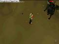 X Mr Wood X9 | First KBD Trip
