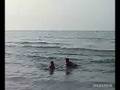 les beau gosse de la plage!!!
