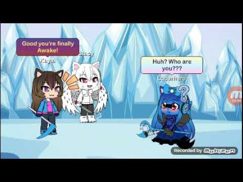 動画