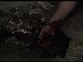 Brainstorming, trailer