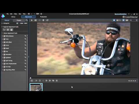 ColorDirector—Using LUTs in Video Projects
