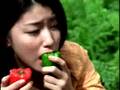 伊藤園 1日分の野菜
