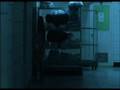  - MovieZen Video
