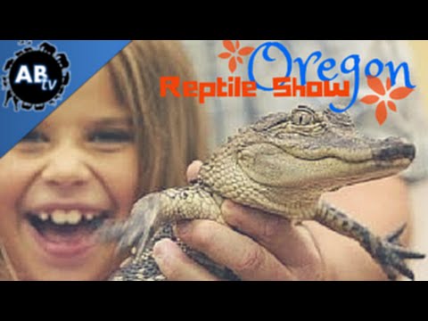 YouTube reptile video