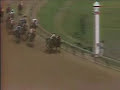 Seattle Slew - 1977 Kentucky Derby