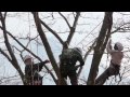 ツリーイング体験 静岡 富士宮 Tree-ing Mt.Fuji background JAPAN