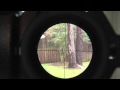 Video Scoping through a Rifle Scope