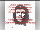 Immagine anteprima YouTube