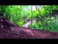 Guanaride 2012 at Las Catalinas - Pura Vida Ride