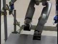 HRP2 - Promet
