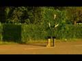 Hedge (Bruce McClellen)
