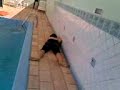 Queda de La�se----De Skate----
