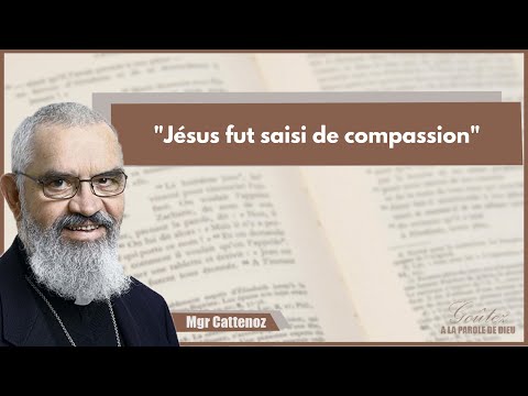 Image de prévisualisation YouTube