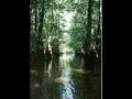 Swamp Blues (Slide/bottleneck) Swamp Blues (Slide/bottleneck)