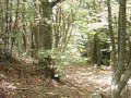 www.propulso.it - Husqvarna TE 610  e Honda CR250