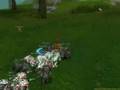 videos de Silkroad Tigergirl auf greece