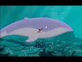 A Pequena Sereia 2 - Por Momentos - No momento A Pequena Sereia 2 - Por Momentos - No momento