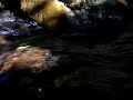 Riacho - Feng Shui - �gua