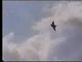 Typhoon (near miss 2005 )