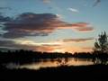 videos de albalooshi