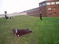 Revolcón en Gijón 2