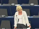 Marian Harkin on the French Presidency
