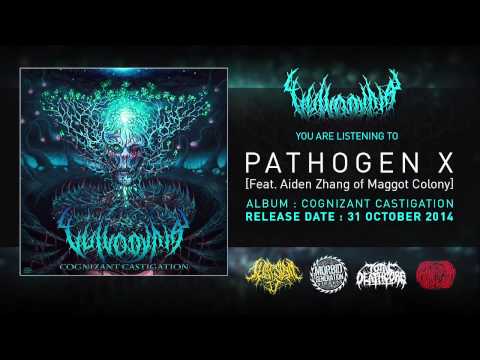 how to cure vulvodynia