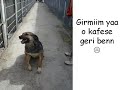 JAS'IN MİNİK FARELERİ :)