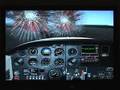 X-plane-Birdstrike