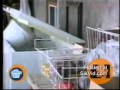 Lavage Du Congelateur