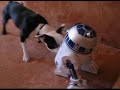 Frank vrs R2D2