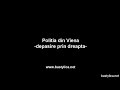 Politia din Viena stie sa depaseasca pe dreapta