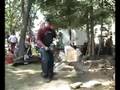videos de Stihl BLK chainsaw