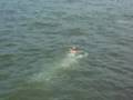 Crazy Pier Jump