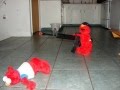The Truth About Elmo