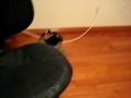 Ewok Vs. Robot Hamster Part 1 Ewok Vs. Robot Hamster Part 1